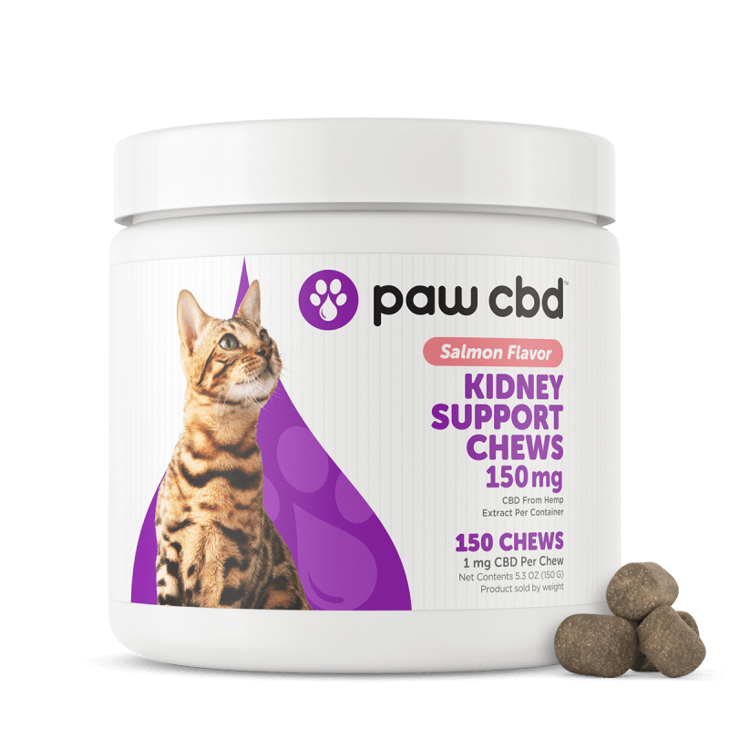 Pet CBD Kidney Support Soft Chews for Cats - Salmon - 150 mg - 150 Count logo